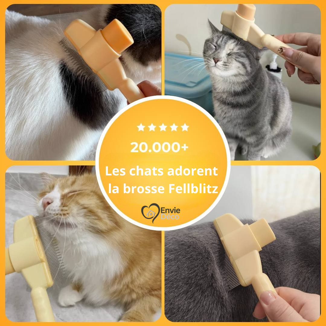 Fellblitz – Spazzola Magica per Gatti