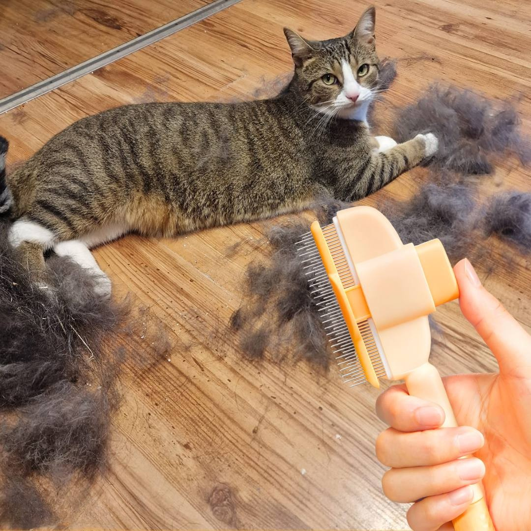 Fellblitz – Spazzola Magica per Gatti